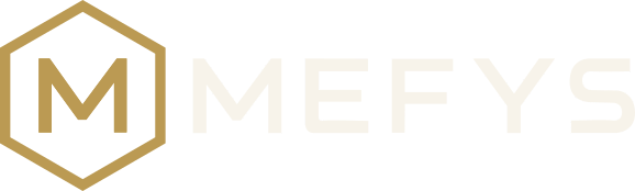 MEFYS